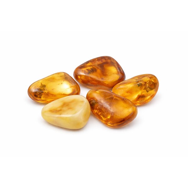 Trommelstein Bernstein S (20mm)