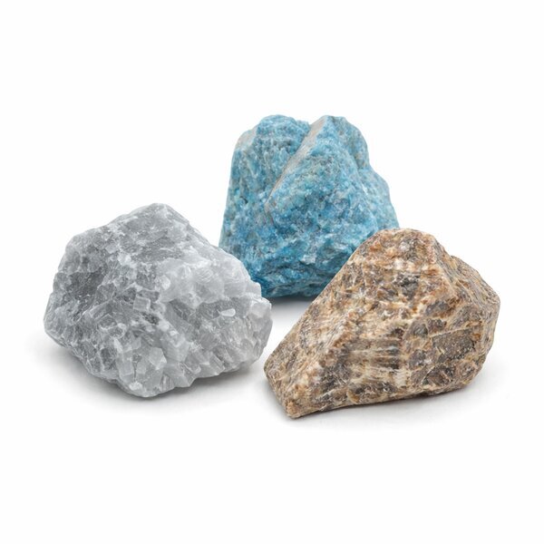 Wasserstein-Mischung 9: Wachstum und Entwicklung 100g