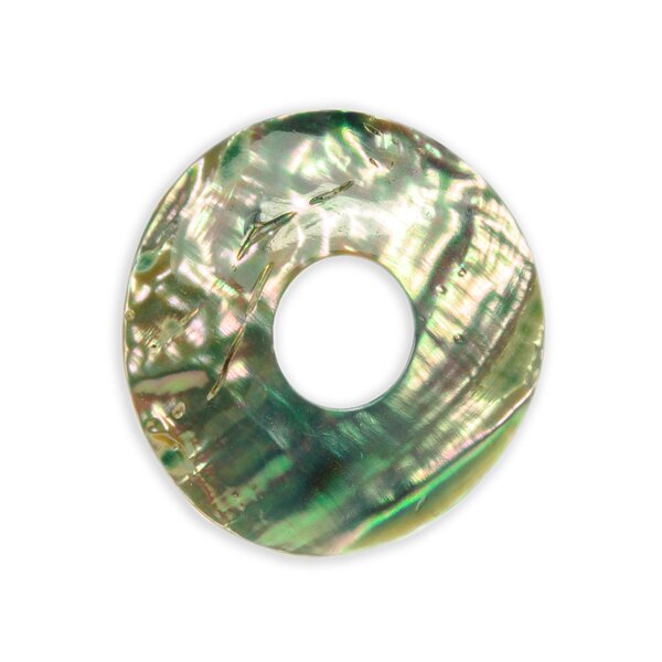 Donut Abalone (Paua-Muschel) 40mm