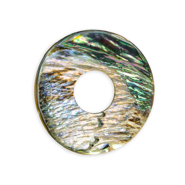 Donut Abalone (Paua-Muschel) 40mm