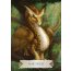 Drachenweisheit - Meditationskarten & Buch