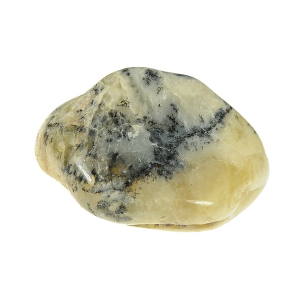 Trommelstein Dendritenopal (Opalith) 1 Stk.