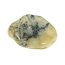 Trommelstein Dendritenopal (Opalith) 100g