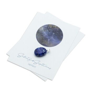 CosmosCard Schütze