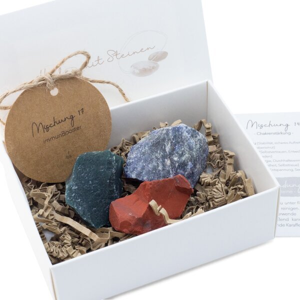 Wasserstein-Mischung 17: ImmunBooster 500g
