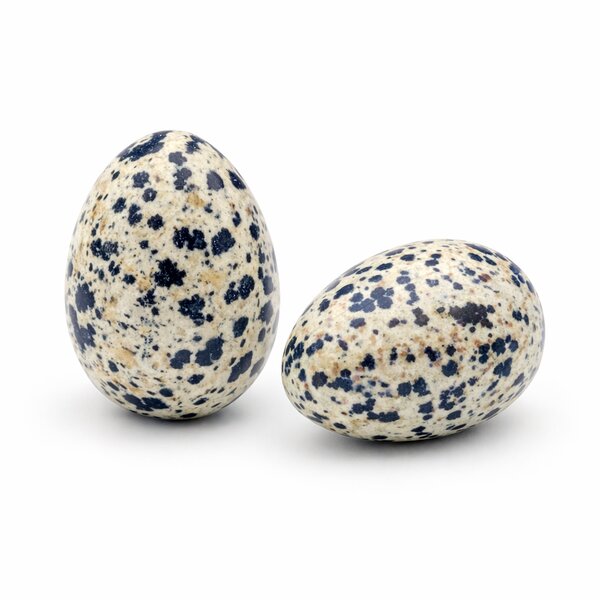 Yoni-Ei Dalmatinerjaspis