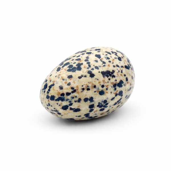 Yoni-Ei Dalmatinerjaspis 50x38mm