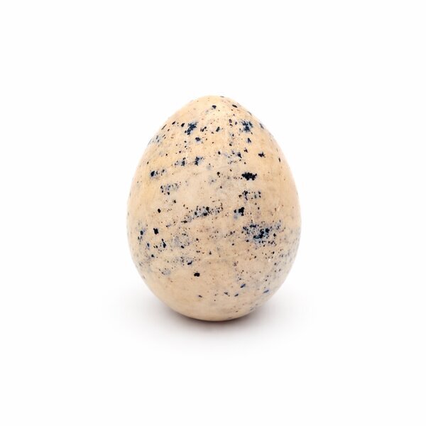 Yoni-Ei Dendritenchalcedon