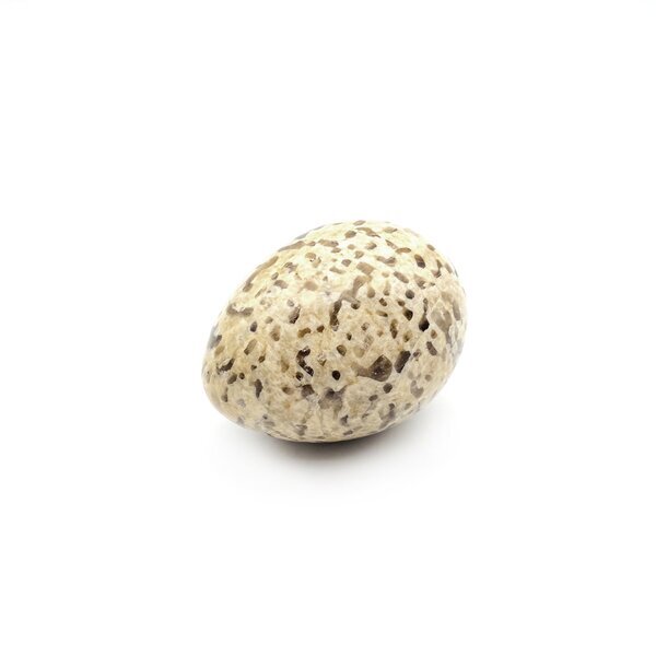 Yoni-Ei Schriftgranit