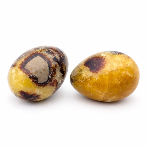 Edelstein-Ei Septarie 55x45mm