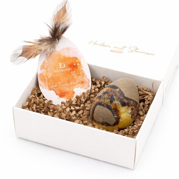 Yoni-Ei Septarie 55x45mm