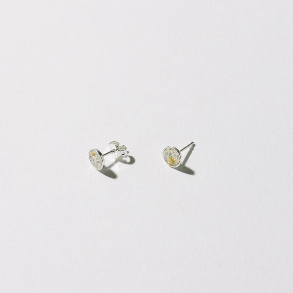 Ohrstecker Auster 7mm