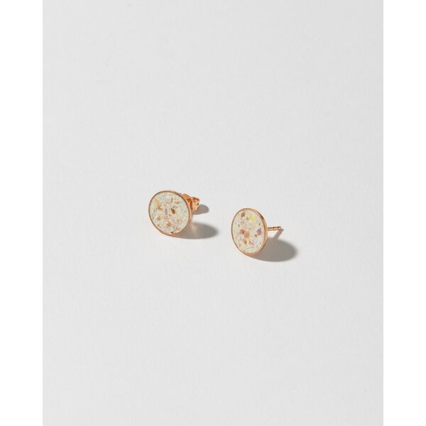 Ohrstecker Gl�hende Atlantikmuschel (silber ros�gold) 10mm