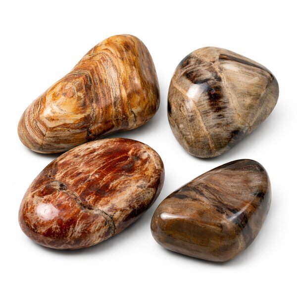 Trommelstein Versteinertes Holz 100g