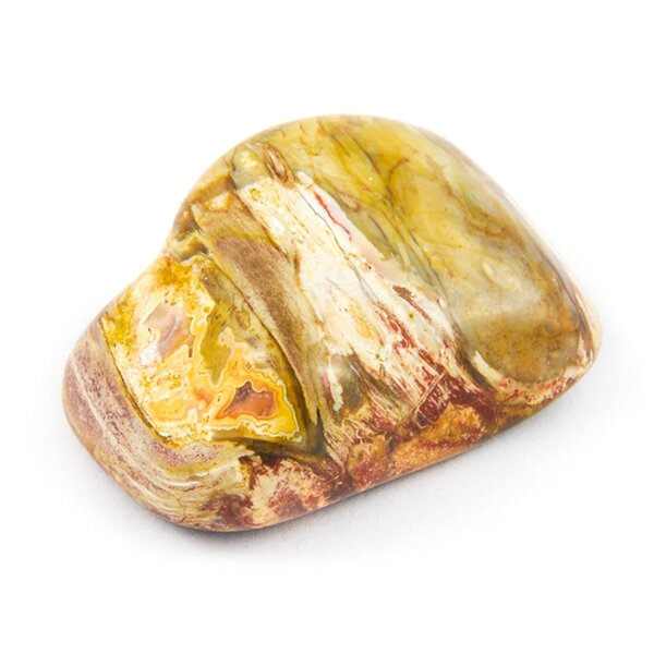 Versteinertes Holz 100g