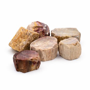 Wassersteine versteinertes Holz