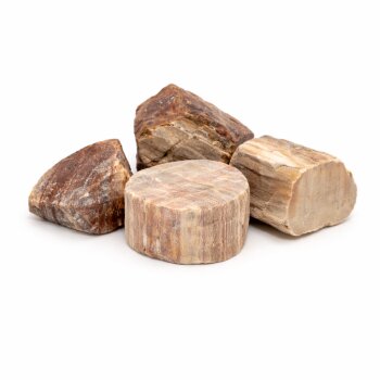 Wassersteine versteinertes Holz