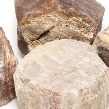 Wassersteine versteinertes Holz