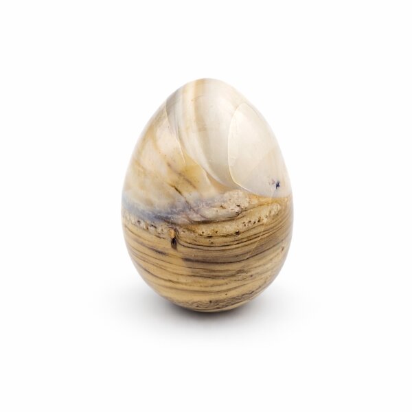 Ei versteinertes Holz