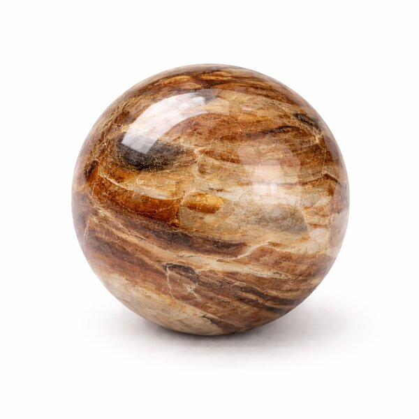 Kugel versteinertes Holz