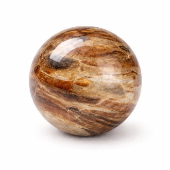 Kugel versteinertes Holz