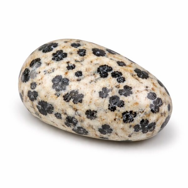 Trommelstein Dalmatinerjaspis