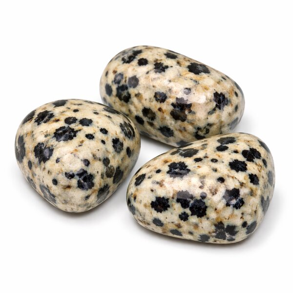 Trommelstein Dalmatinerjaspis