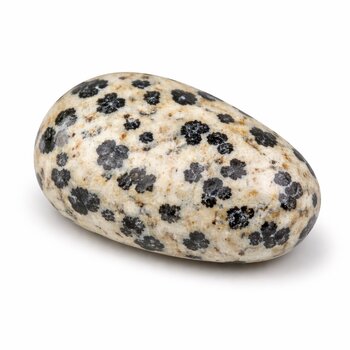 Trommelstein Dalmatinerjaspis