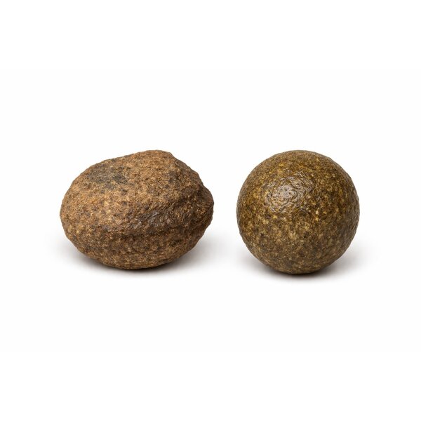 Moqui Marbles (Lebende Steine) mit Echtheitszertifikat