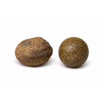 Moqui Marbles (Lebende Steine) mit Echtheitszertifikat