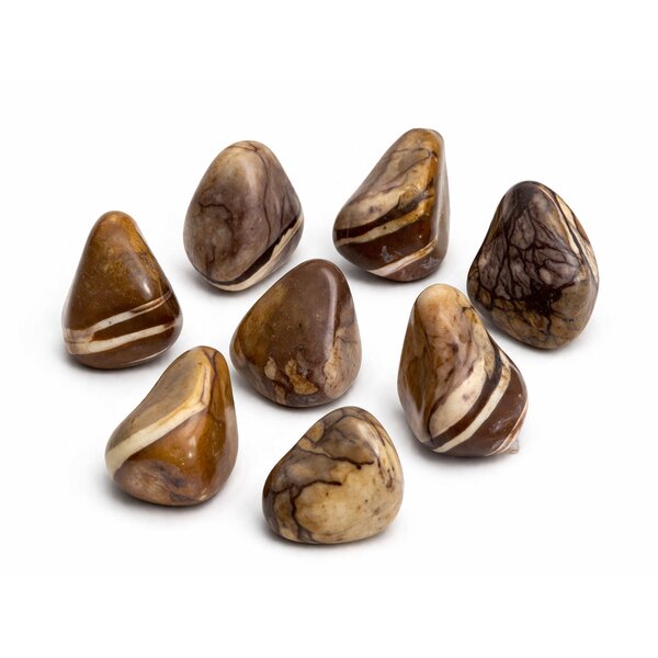 Trommelstein Cappuccino-Jaspis (Zebrajaspis) 100g