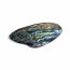 Abalone (Paua Muschel) 40-50mm