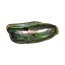 Abalone (Paua Muschel) 40-50mm