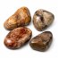 Trommelstein Versteinertes Holz